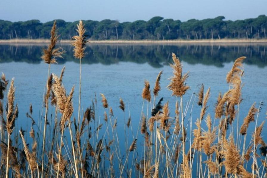 Hotel Diga Marina di Ravenna Eksteriør bilde