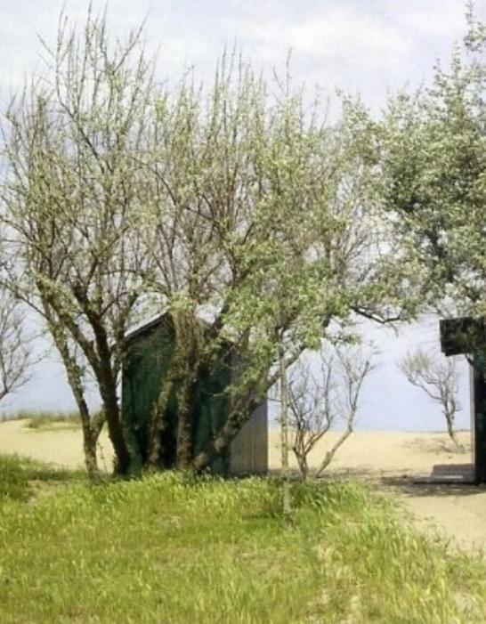 Hotel Diga Marina di Ravenna Eksteriør bilde